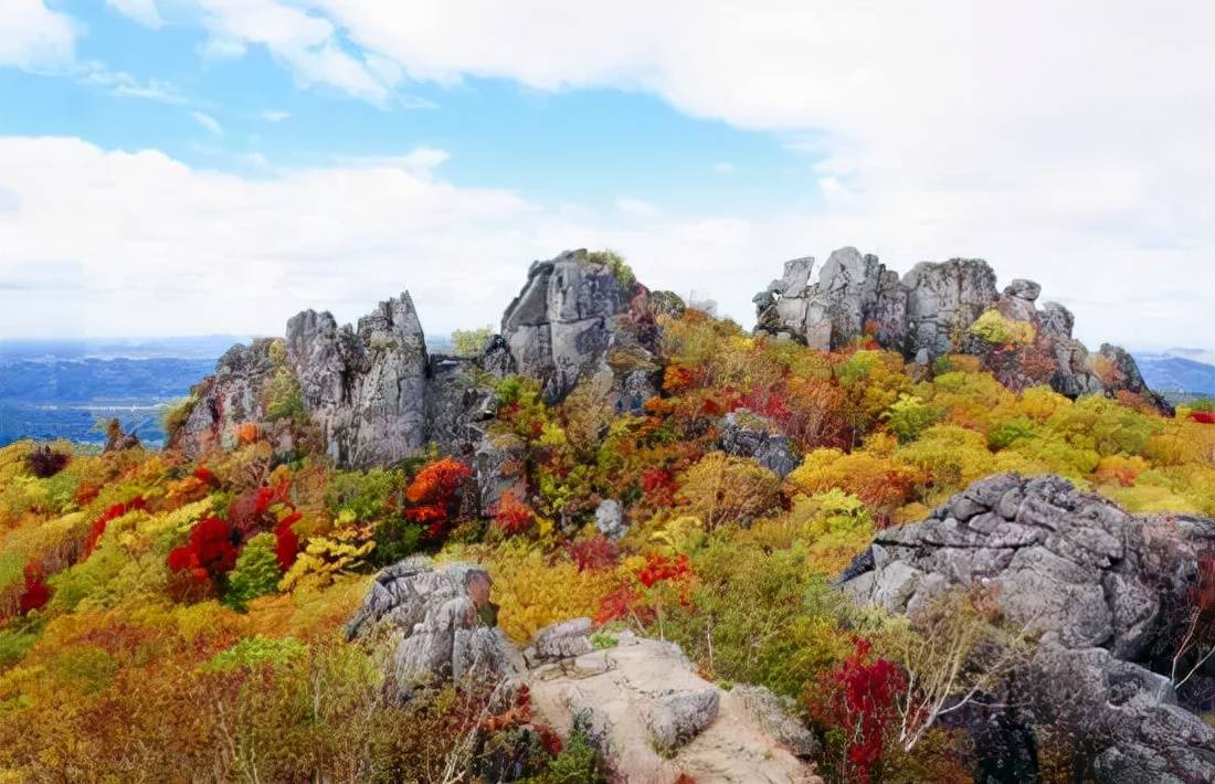 原创 黑龙江最长的高铁线正式运营,牡丹江佳木斯沿线有福了,有你家吗6