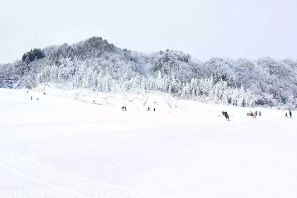 2022重庆冷水国际滑雪场在哪里及开放时间3