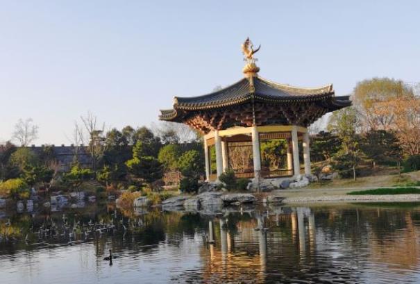 襄阳唐城游玩详细攻略20223