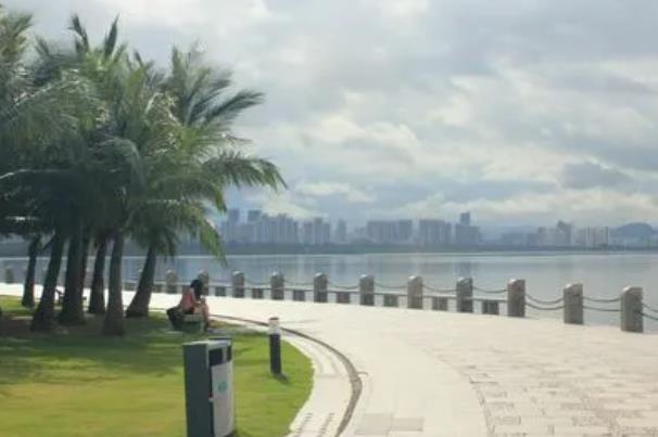 深圳有几个红树林公园 深圳红树林景点推荐2