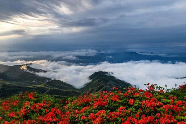 浏阳一日自驾游必去景点推荐1