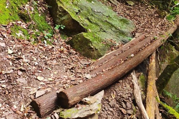 清凉峰游记 冬天清凉峰有什么好玩的1