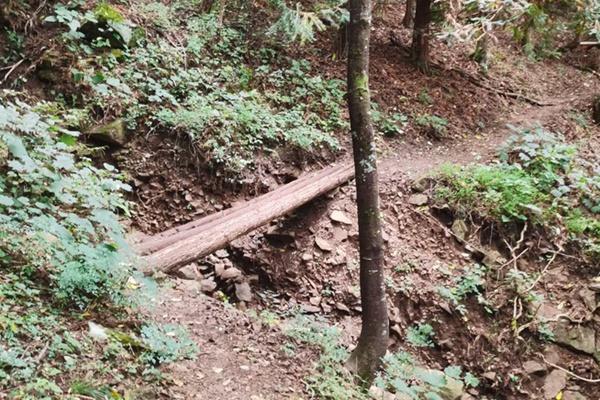 清凉峰游记 冬天清凉峰有什么好玩的3