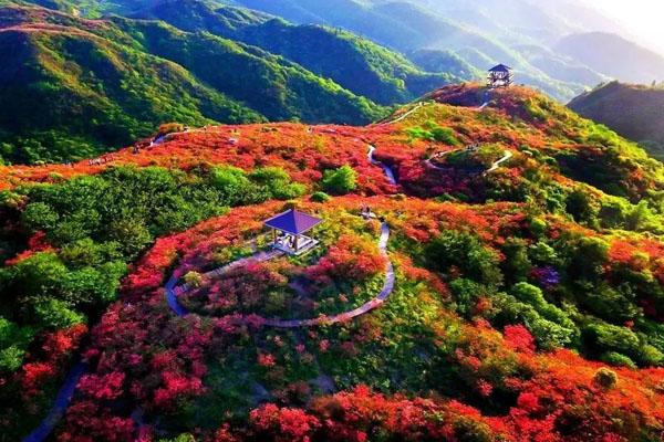 长沙免费爬山的地方推荐3