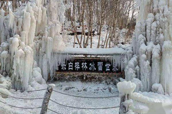 康乐县白桦林冰雪世界免费到什么时候?日常门票价格介绍1