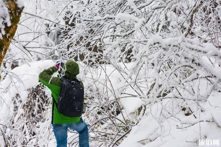 峨眉山冬季旅游攻略 峨眉山有什么特点6