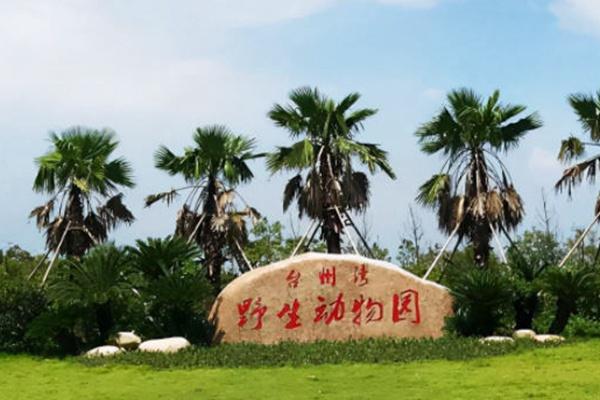 浙江台州自驾游景点路线推荐3