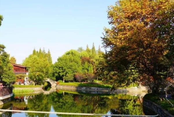 上海静安冬季赏叶公园推荐3