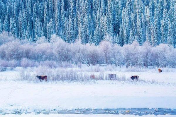 乌鲁木齐冬季自驾游攻略-路线推荐2