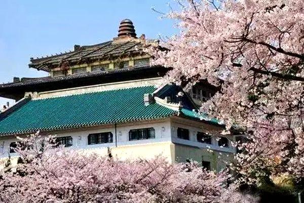 武汉一日游攻略 武汉一日游路线推荐2