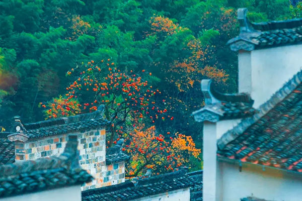 冬季最美的自驾路线 冬季自驾游路线推荐1