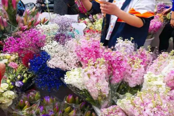 2022广州迎春花市即将开启 附最新消息1