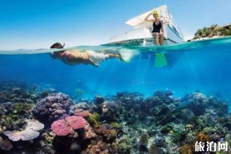三亚哪里潜水性价比高 三亚潜水基地有几个1