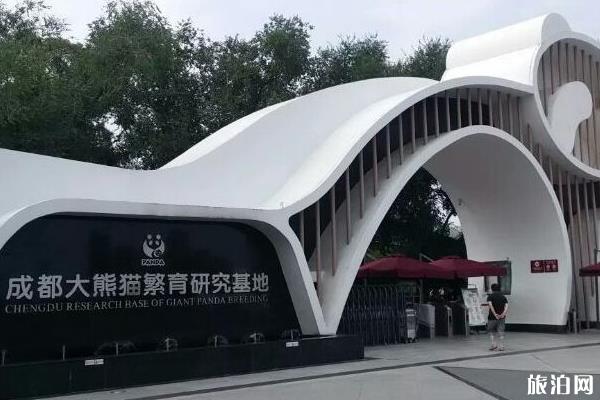 成都熊猫基地一日游攻略1