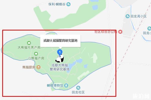 成都熊猫基地一日游攻略4