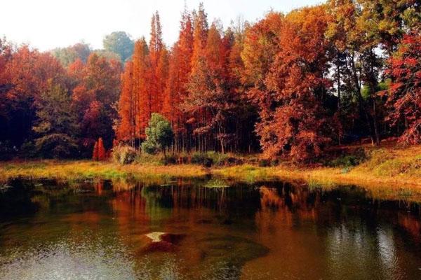 苏州周边自驾游秋冬季景点推荐2