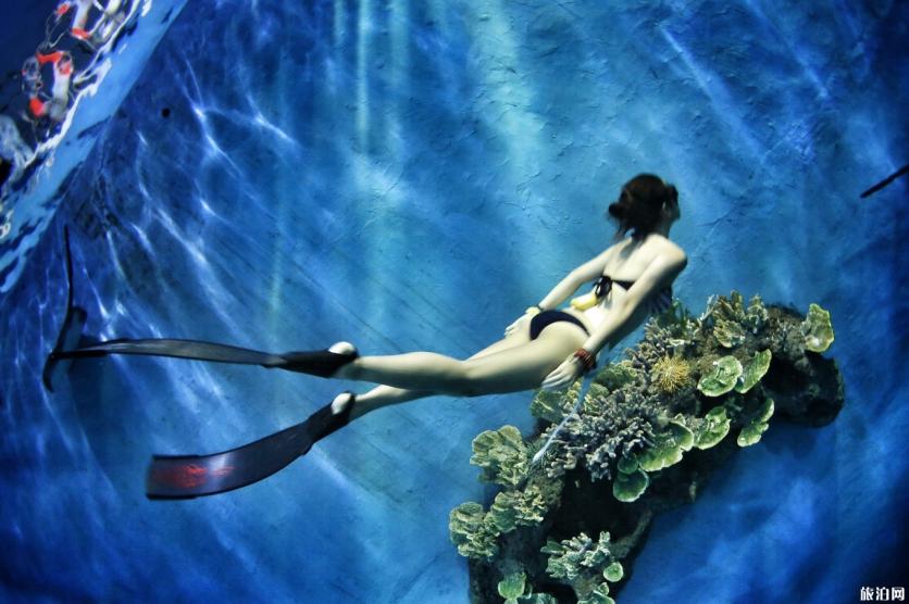 潜水证ow和aow什么区别3