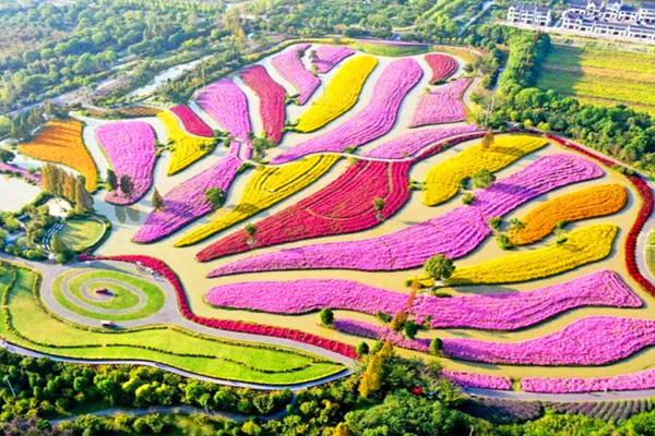 上海冬季观景旅游线路推荐2