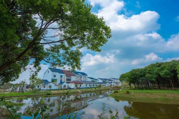 上海冬季观景旅游线路推荐3