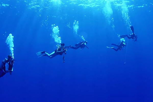 广东最适合潜水的地方有哪些 潜水地推荐3