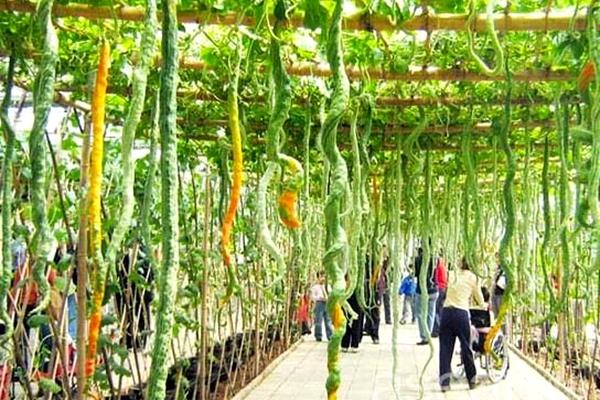 2021石家庄圣诞节周边自驾游景点推荐2