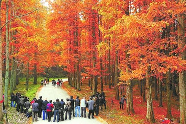 长沙秋季周末自驾游的好去处1