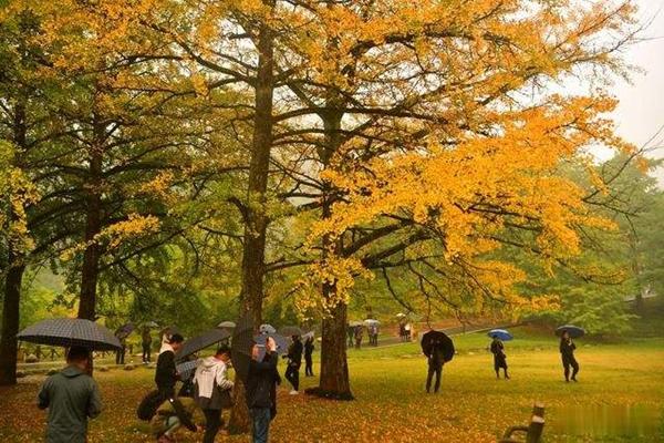 长沙秋季周末自驾游的好去处2