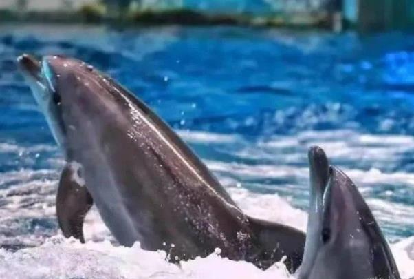 西安周末带孩子去哪里玩比较好2