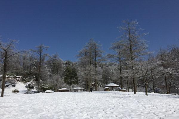 宁波奉化滑雪场在哪里怎么走2