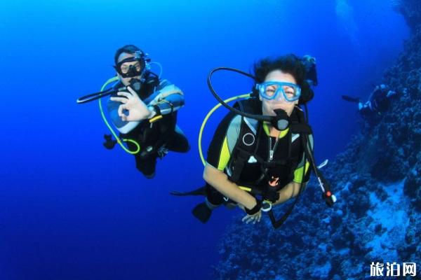 东南亚潜水考证最全攻略 费用和课程信息1