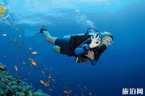 潜水运动安全吗 潜水新手容易犯的错误有哪些1