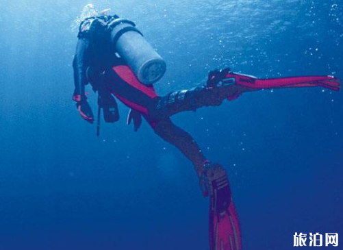 潜水运动安全吗 潜水新手容易犯的错误有哪些2