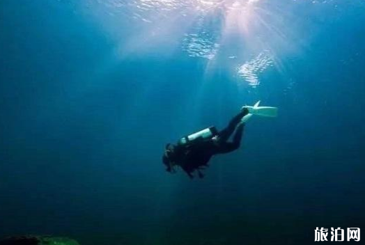 潜水运动安全吗 潜水新手容易犯的错误有哪些3