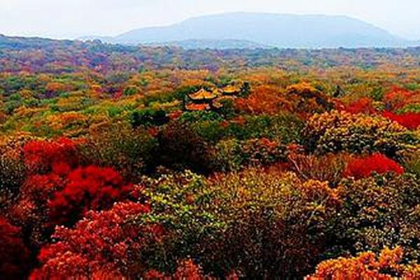 哈尔滨自驾游路线推荐2