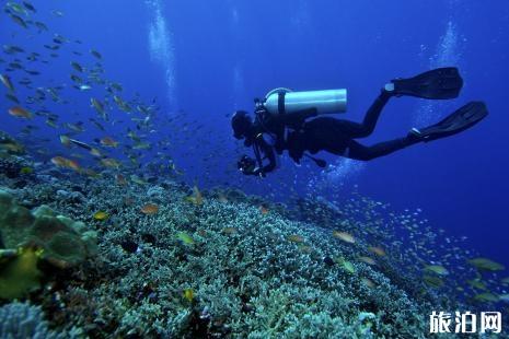 潜水有几种类型 什么是自由潜水1