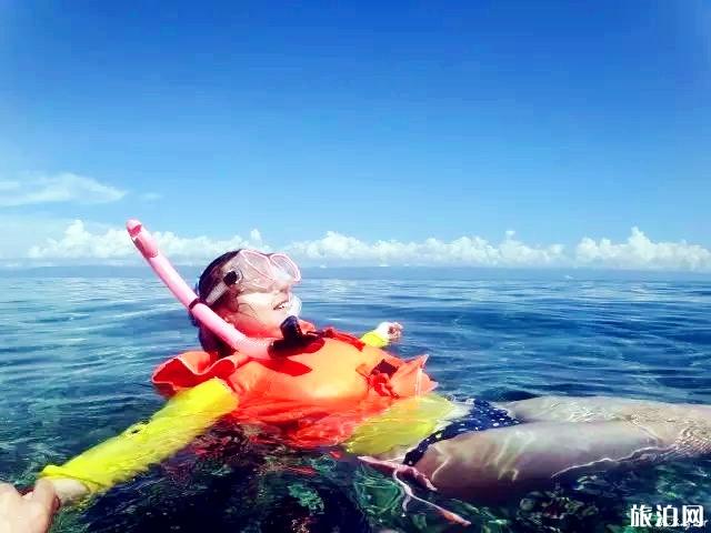 潜水有几种类型 什么是自由潜水2