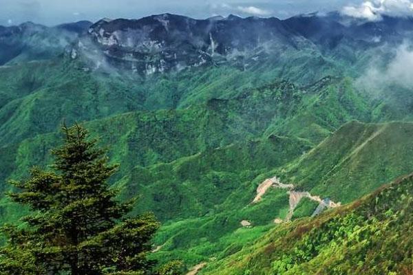 湖北神农架游玩攻略-探秘1