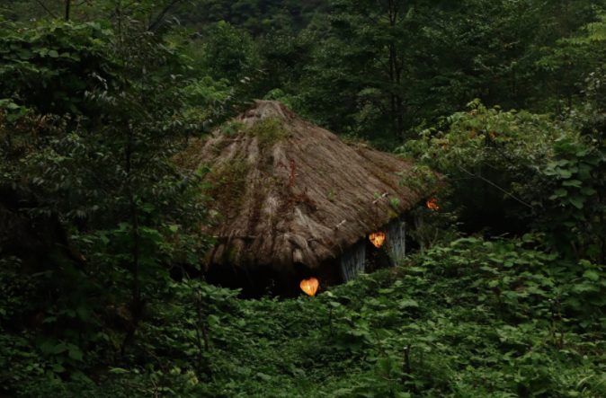 湖北神农架游玩攻略-探秘3