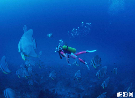 女生潜水需要注意什么 潜水会晒黑吗2
