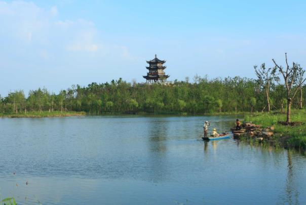 无锡观鸟的好去处 无锡观鸟地点推荐2