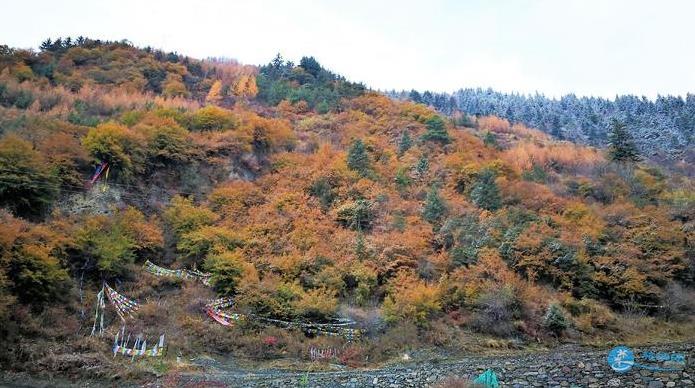 毕棚沟自驾游攻略 附最佳路线6