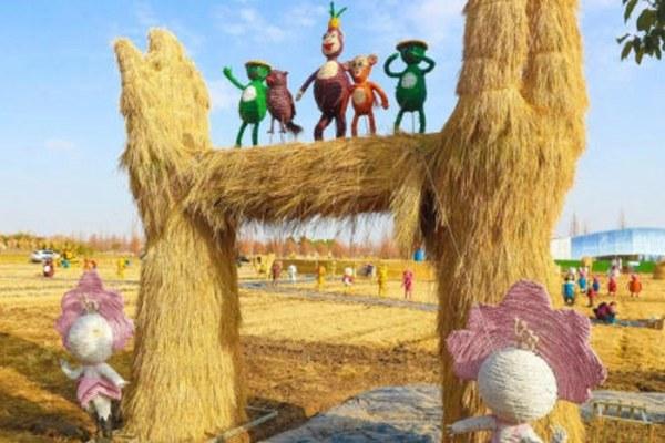 上海玉海棠景区在哪里?怎么去?1