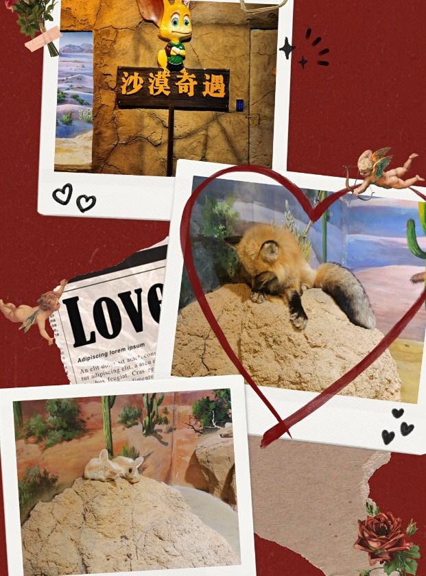 东湖魔兽城堡攻略 附路线图3