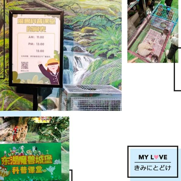 东湖魔兽城堡攻略 附路线图6