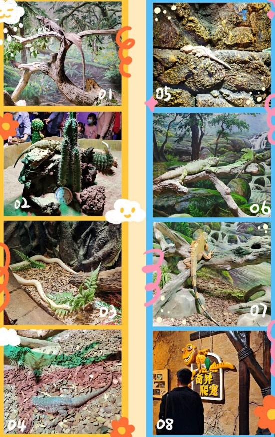 东湖魔兽城堡攻略 附路线图8