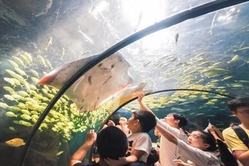 2022洛阳景区最新防疫政策2