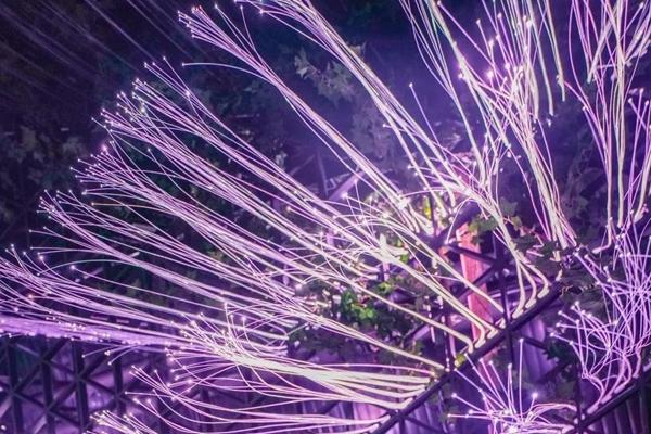 东湖魔兽城堡夜游攻略 附夜游玩法1