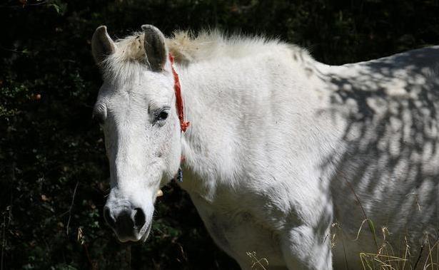 川西小环线自驾三日游攻略7
