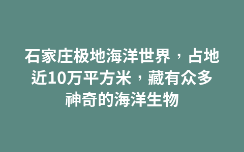 石家庄极地海洋世界,占地近10万平方米,藏有众多神奇的海洋生物1