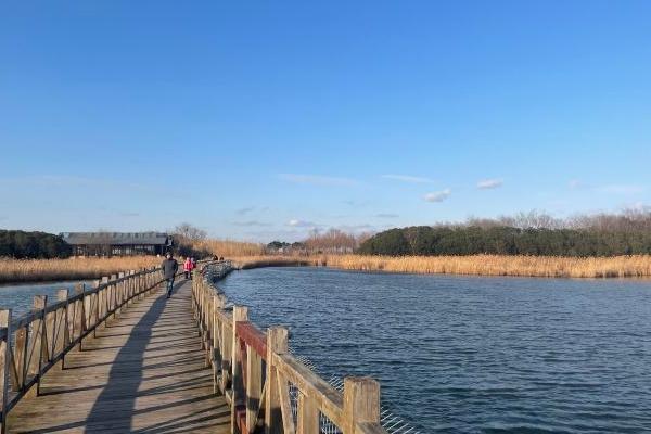 上海崇明哪里风景比较好1